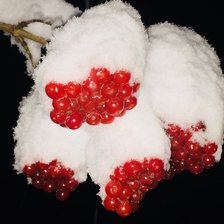 Cross stitch pattern: #2123995