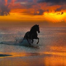 Cross stitch pattern: #2124052