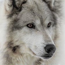 Cross stitch pattern: #2125119