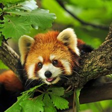 Cross stitch pattern: #2125294