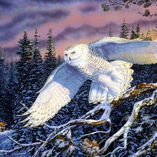 Cross stitch pattern: #2126211