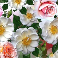 Cross stitch pattern: #2127602