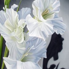 Cross stitch pattern: #2127681