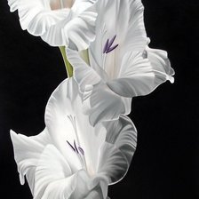 Cross stitch pattern: #2127686