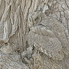 Cross stitch pattern: #2128039