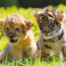 Cross stitch pattern: #2129016