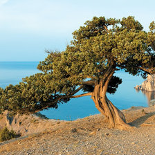 Cross stitch pattern: #2129215