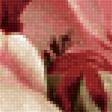 Preview of cross stitch pattern: #2130000