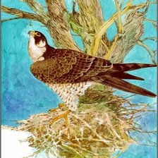 Cross stitch pattern: #2131135