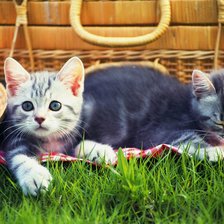 Cross stitch pattern: #2131173