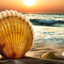 Cross stitch pattern: #2131197