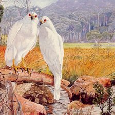 Cross stitch pattern: #2131256