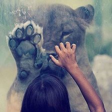 Cross stitch pattern: #2131786