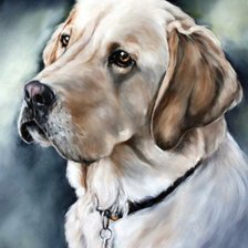 Cross stitch pattern: #2131986