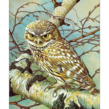 Cross stitch pattern: #2132165