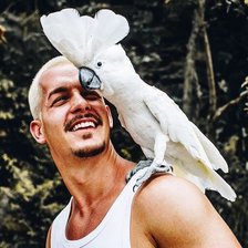 Cross stitch pattern: #2132411