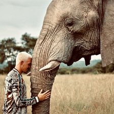 Cross stitch pattern: #2132425