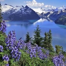 Cross stitch pattern: #2132883