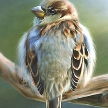 Cross stitch pattern: #2133365