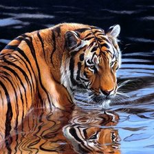 Cross stitch pattern: #2133469