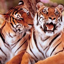 Cross stitch pattern: #2133472