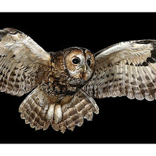 Cross stitch pattern: #2133599