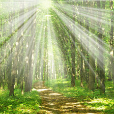 Cross stitch pattern: #2133717