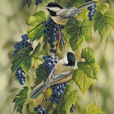 Cross stitch pattern: #2135894