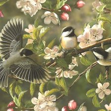 Cross stitch pattern: #2136759