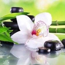 Cross stitch pattern: #2137119