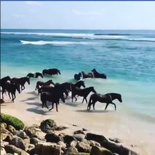 Cross stitch pattern: #2139087