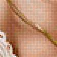 Preview of cross stitch pattern: #2139533