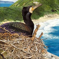 Cross stitch pattern: #2140902