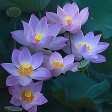 Cross stitch pattern: #2140904