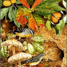 Cross stitch pattern: #2141629