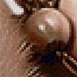 Preview of cross stitch pattern: #2141736