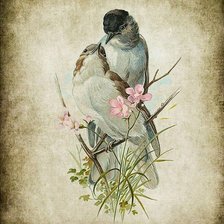 Cross stitch pattern: #2143273