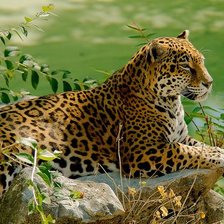 Cross stitch pattern: #2143620