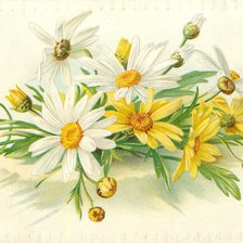 Cross stitch pattern: #2143807