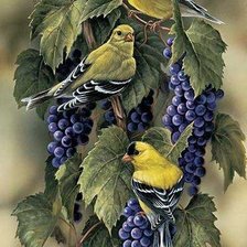 Cross stitch pattern: #2143901