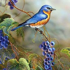 Cross stitch pattern: #2143933