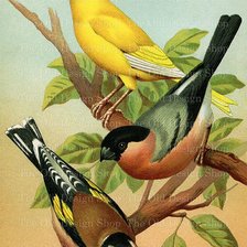 Cross stitch pattern: #2143991