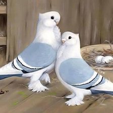 Cross stitch pattern: #2145020