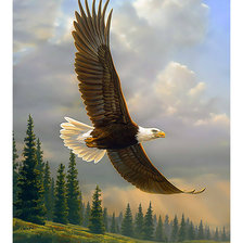 Cross stitch pattern: #2145451