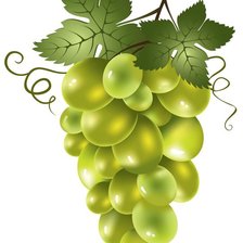 Cross stitch pattern: #2145518