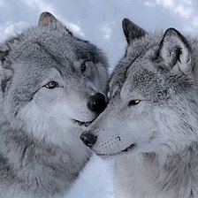 Cross stitch pattern: #2146587