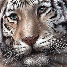 Cross stitch pattern: #2148813