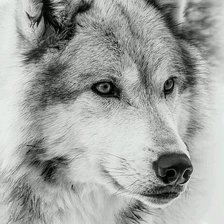 Cross stitch pattern: #2151868