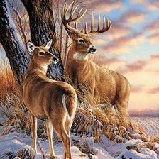 Cross stitch pattern: #2154004