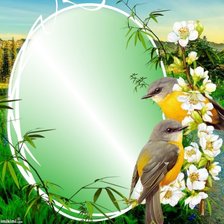 Cross stitch pattern: #2155078